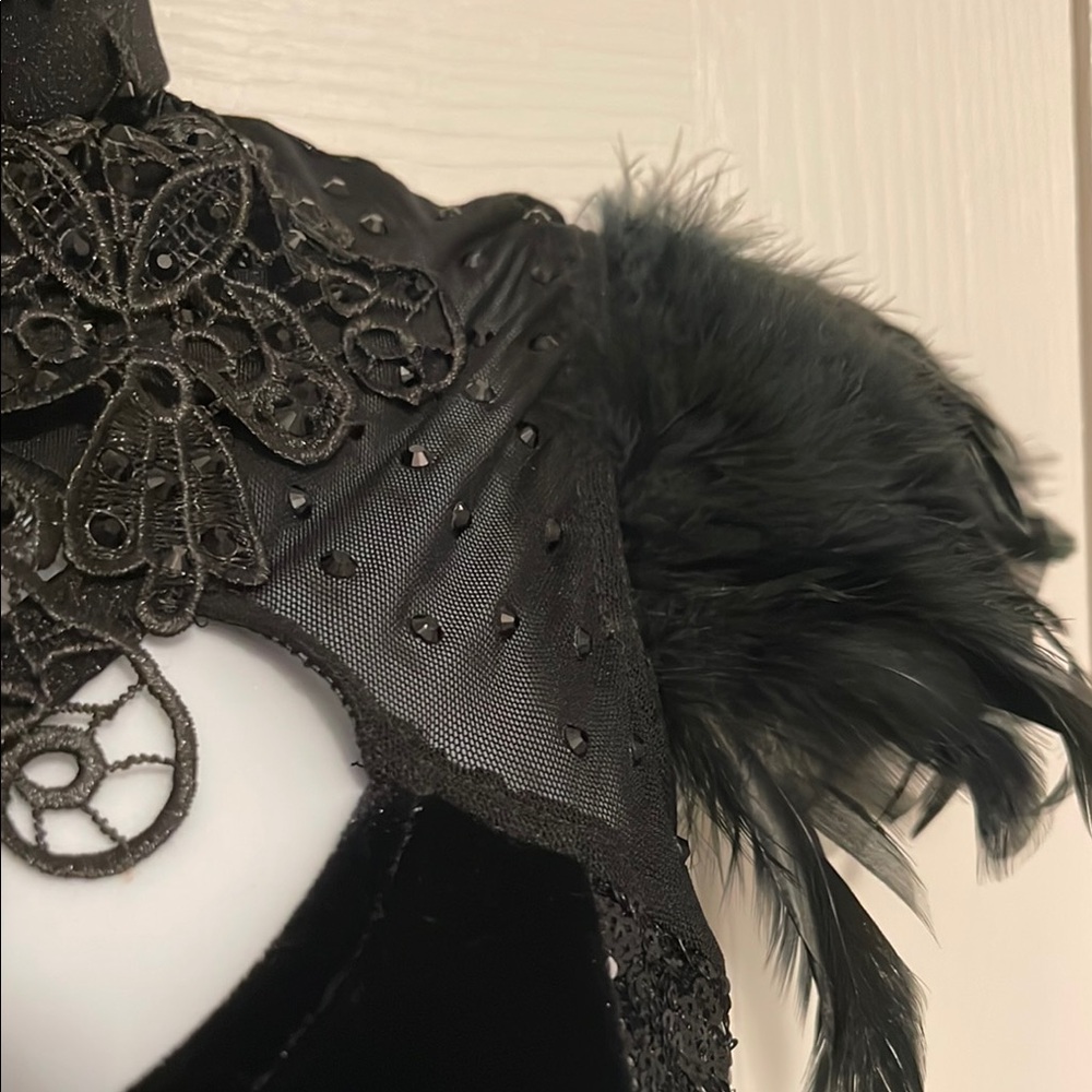 Glamour Black Feathered Costume - Picture 6 of 14